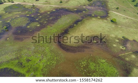 Amazing aerial view of typical Pantanal wetlands landscape with lagoons, rivers, meadows and trees, Mato Grosso, Brazil