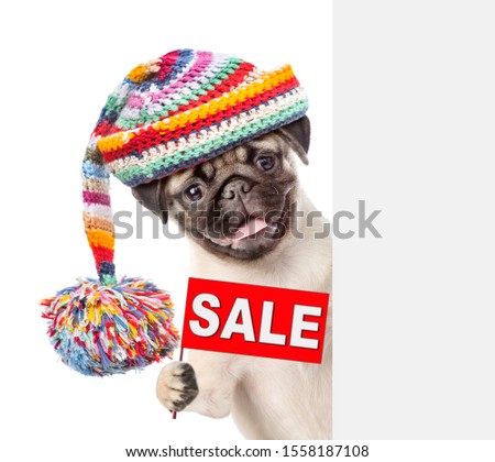 Pug puppy wearing a warm hat holds sales symbol behind empty banner. isolated on white background