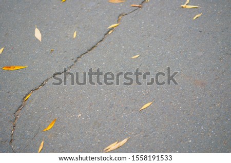 Fallen autumn leaves on the pavement and path. Urban background