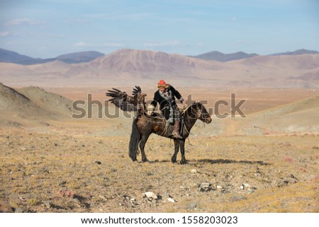 Traditional kazakh eagle hunter catching his flying golden eagle mid-flight on horseback. Series of 3 images. Ulgii, Mongolia.