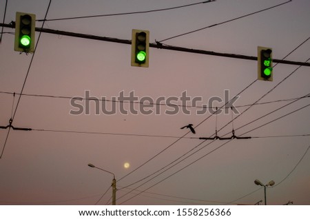 Traffic lights and electric wires. Green light. Bird flying over the moon
