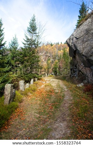An old alpine road from 1891 through the valley of the Velký Stolpich stream in Jizera Mountain, Liberec Region, Czech Republic.