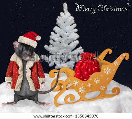The pet rat in a Santa Claus costume is pulling a sleigh with a bag of gifts in the winter forest at night. Merry Christmas.