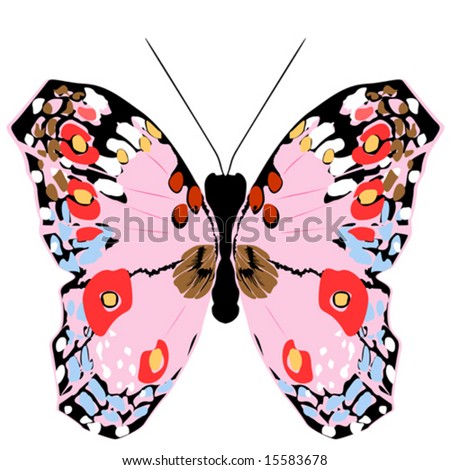 colorful butterfly,vector illustration
