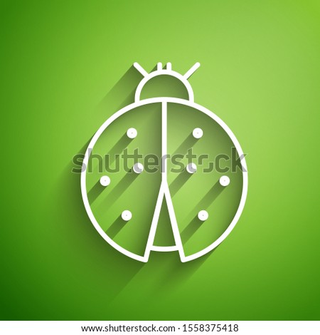 White line Ladybug icon isolated on green background.  Vector Illustration