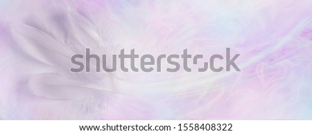 Delicate ethereal triple white feather background banner - three long white bird feathers on left against pale pink and blue gaseous ethereal background with copy space
