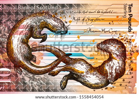 Two otters Portrait from Scotland 10 Pounds 2016 Banknotes. 