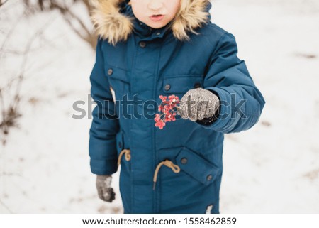 Boy holding a branch with berries, winter, walk in the Park