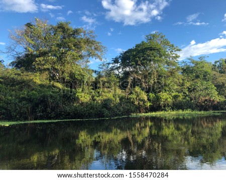 Pictures from the jungle around Iquitos in Peru