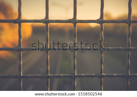 Beautiful view of metal grid with the blurred road at sunset background