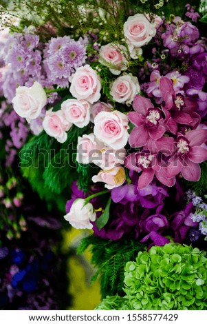 Rose Flowers in soft focus or blurred background and among other multi color orchid flowers.