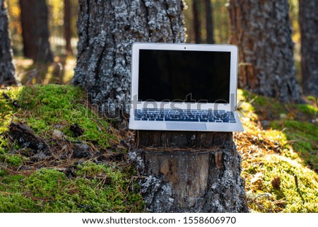 open laptop on a stump in the forest. mobile internet for business travel job freelance.