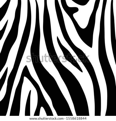 Zebra print, animal skin, tiger stripes, abstract pattern, fabric. Amazing hand drawn vector illustration. Black and white artwork, monochrome design.