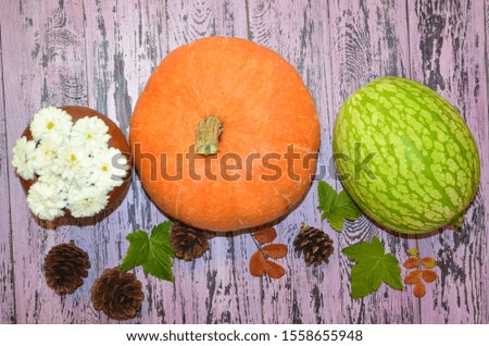 pumpkin white small flowers and colorful leaves on thanksgiving day on wooden purple table