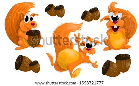 Set of three squirrels with acorns on a white background