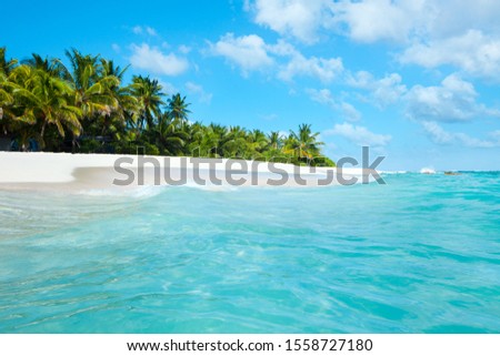 Johnny Cay on the reef of San Andres Island, Colombia, South America Royalty-Free Stock Photo #1558727180