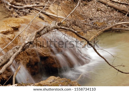 Water flow  in a early spring forest. Crimea