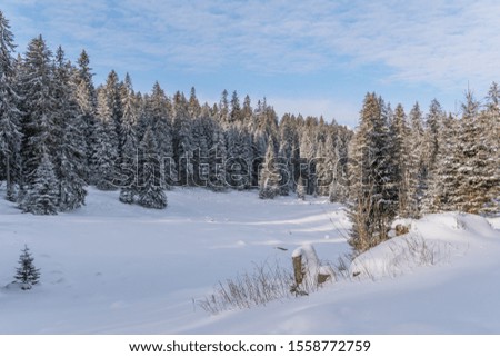 Snow-covered winter landscape in the Swiss Alps