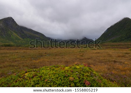 This is a picture from northern Norway showing the rural regions on the Lofoten Islands.