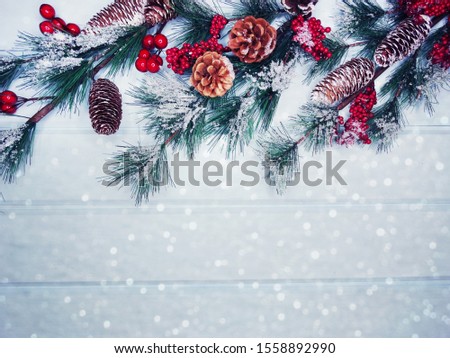winter christmas background with fir branches cones and snow on blue wooden texture                              