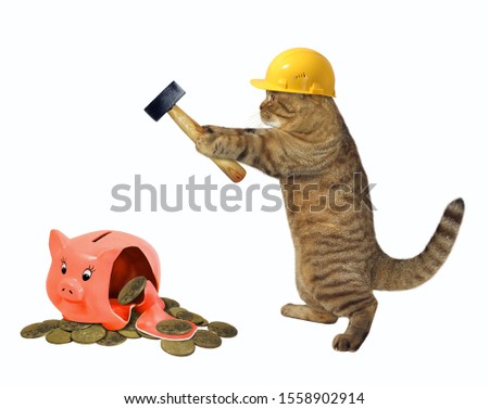 The beige cat in a yellow safety helmet with a hammer is near a broken piggy bank with coins. White background. Isolated.