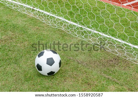 The soccer football with the net on the artificial green grass soccer field 