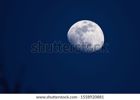 Close up of full moon