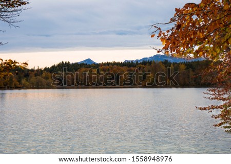 Fall colour reflected in the  lake  Bavaria Germany .Autumn in the mountains.