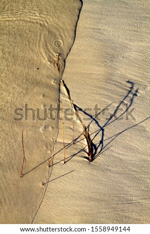 Detail of the sand in the beach, Cervantes, Western Australia, Australia.