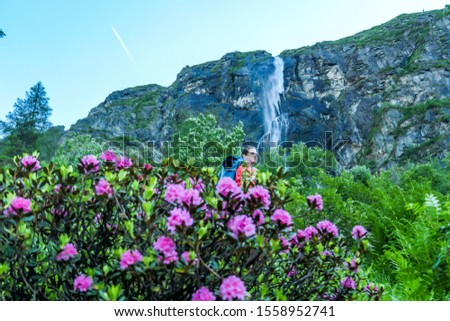 A girl with the hiking backpack enjoying her hike among the wild flowers and tall and steep mountain wall behind her. There is a waterflow going sharply down from the edge of the mountain. Schladming
