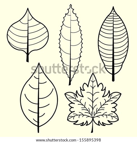 leaves vector 