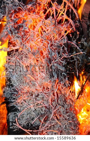 close up of fire burning
