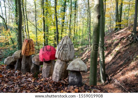 Autumn hike on the Patensteig in the Extertal. This is located in the Teutoburg Forest Nature Park in the Eggegebirge, Lipperland. The foliage of the trees changes color. It is a beautiful day. Royalty-Free Stock Photo #1559019908