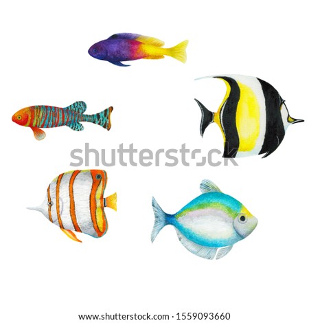 Colorful watercolor isolated fishes set on white background. Hand drawn tropical fishes illustration.