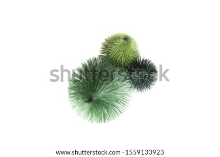 Three decorative christmas tree, isolated on white background. Up view.