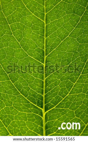 Green leaf texture with com sign