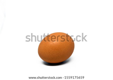High Resolution Picture of Chicken Egg Isolated on White Background