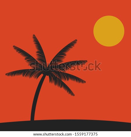 silhouette of a coconut tree in the afternoon