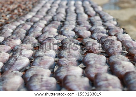 Dried salid fish that are brought together in large numbers Taken in the sun. Is a traditional food preservation Used as an illustration