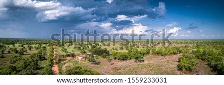 Aerial view panorama of typical Pantanal landscape with Transpantaneira, meadows, forest, pasture sunlight and dramatic sky, Pantanal Wetlands, Mato Grosso, Brazil
