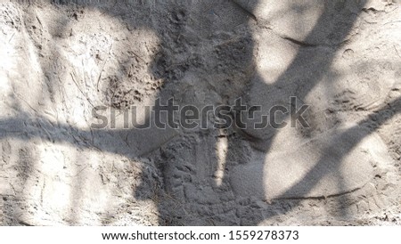 Tree Shadow on the Sand Beach