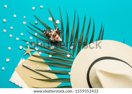 Summer vacation concept. Men's hat and palm branch on a bright background. top view, copy space