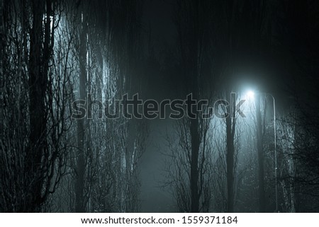 Abstract tree branches at foggy night lit by streetlamp
