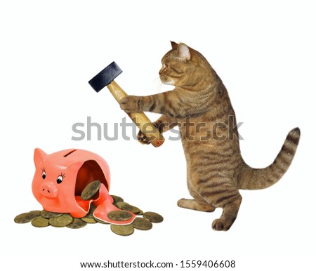 The beige cat with a hammer is near a broken piggy bank with coins. White background. Isolated.