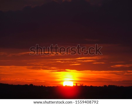 Sunset and twilight sky with silhouette trees background