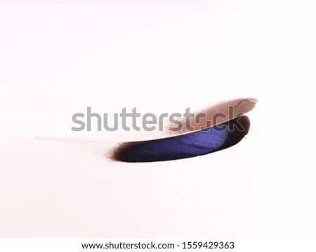 Macro photography of a colorful real bird feather on white isolated background