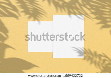 Blank white vertical paper sheet 5x7 inches with palm shadow overlay. Modern and stylish greeting card or wedding invitation mock up.