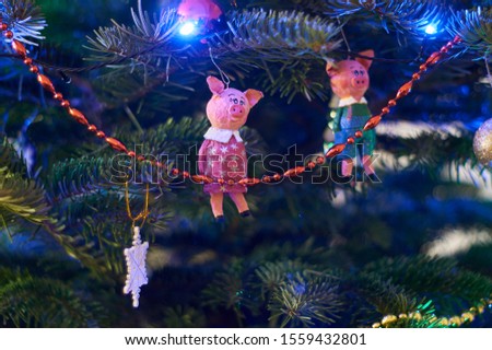 New Year's composition, Christmas decorations. Christmas toys in the form of piglets hanging on a fir-tree against the background of a luminous Christmas garland