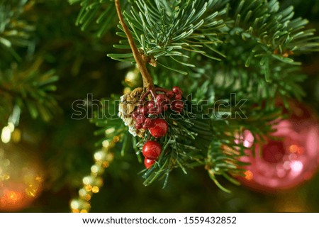 New Year's composition, Christmas decorations. Christmas toy in the form of rowan twig hanging on a fir-tree