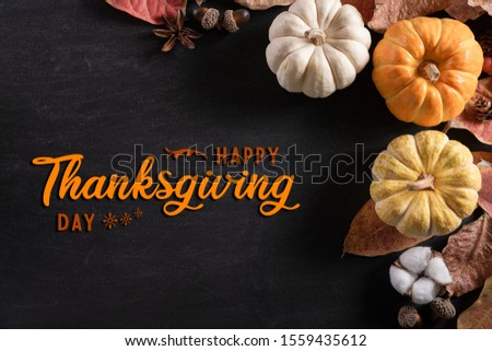 Top view of  Autumn maple leaves with Pumpkin and red berries on black wooden background. Thanksgiving day concept.